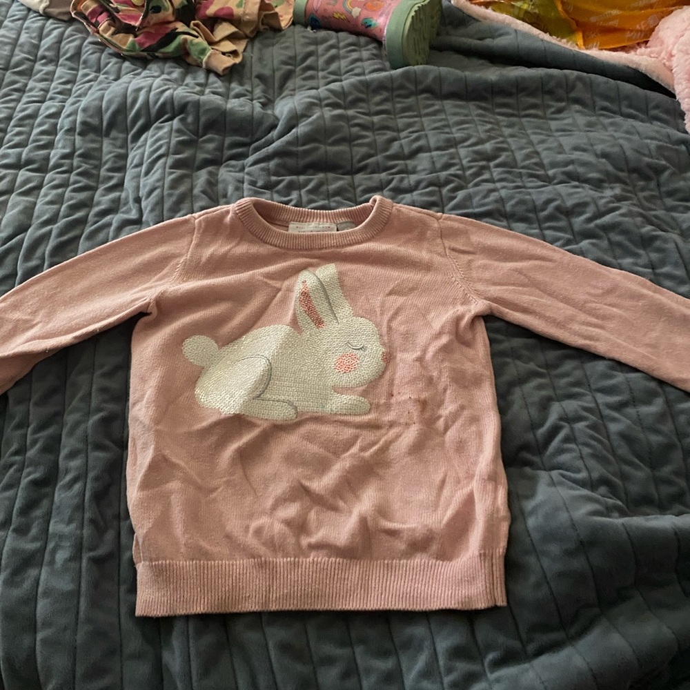 Pink 4t sweater from the Children’s place